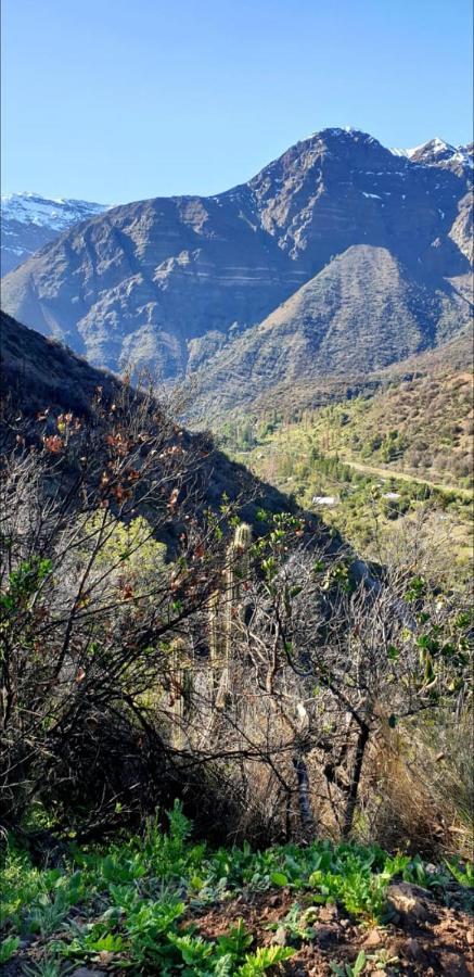 San José de MaipoRefugio Cordillera Flora Endogena Bosque Esclerofilo别墅 外观 照片